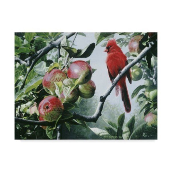 Ron Parker 'Cardinal And Apples' Canvas Art, 35x47, Trademark Fine Art, Mfr#: ALI32558-C3547GG